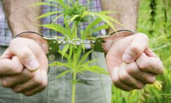 Marijuana Possession Defense